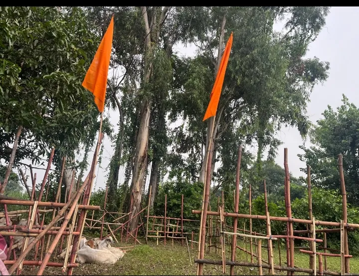 देवबंद में भू-माफियाओं के चंगुल से गौमाता का रेस्क्यू, हिमांशु शर्मा ने किया अस्थाई गौशाला का निर्माण