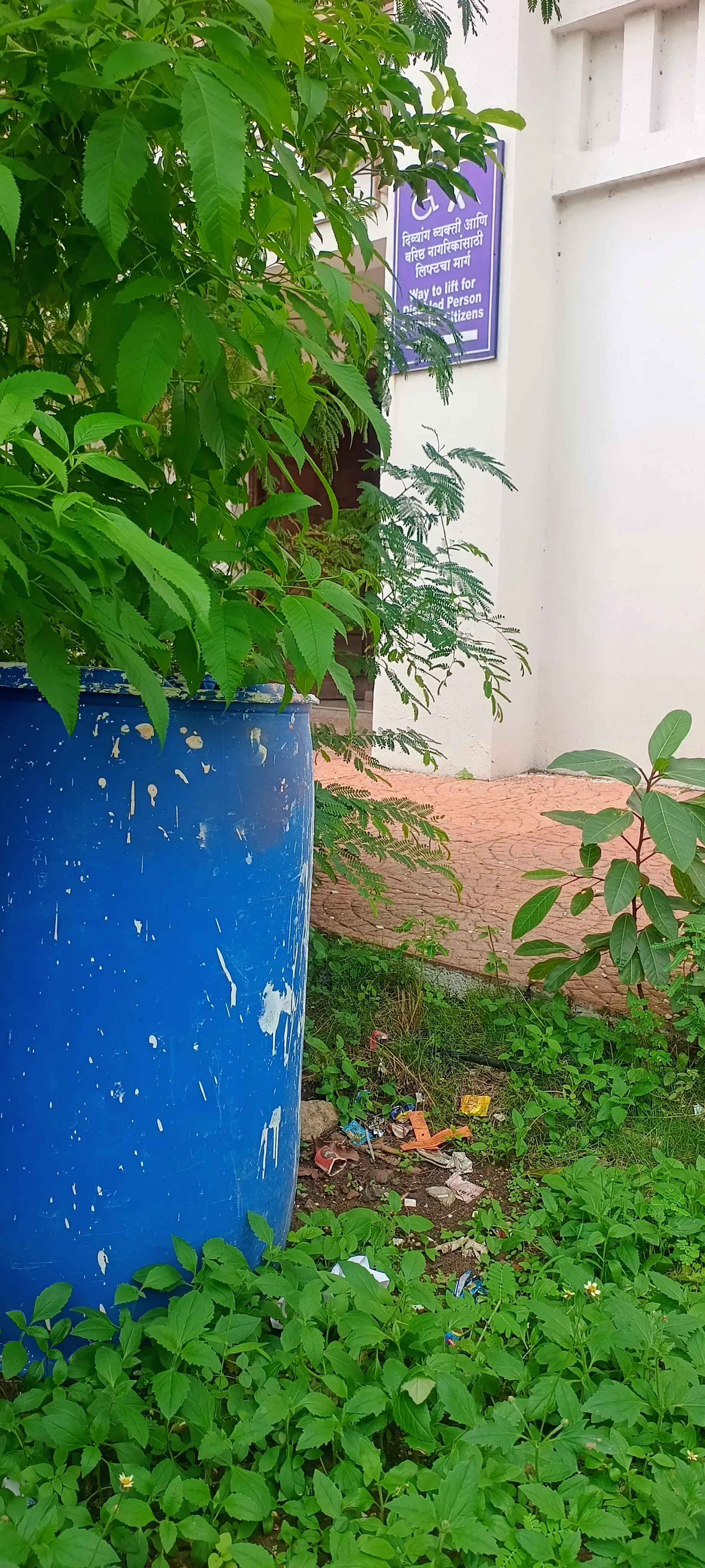 हर तरफ परिसर में गंदगी का माहौल है.