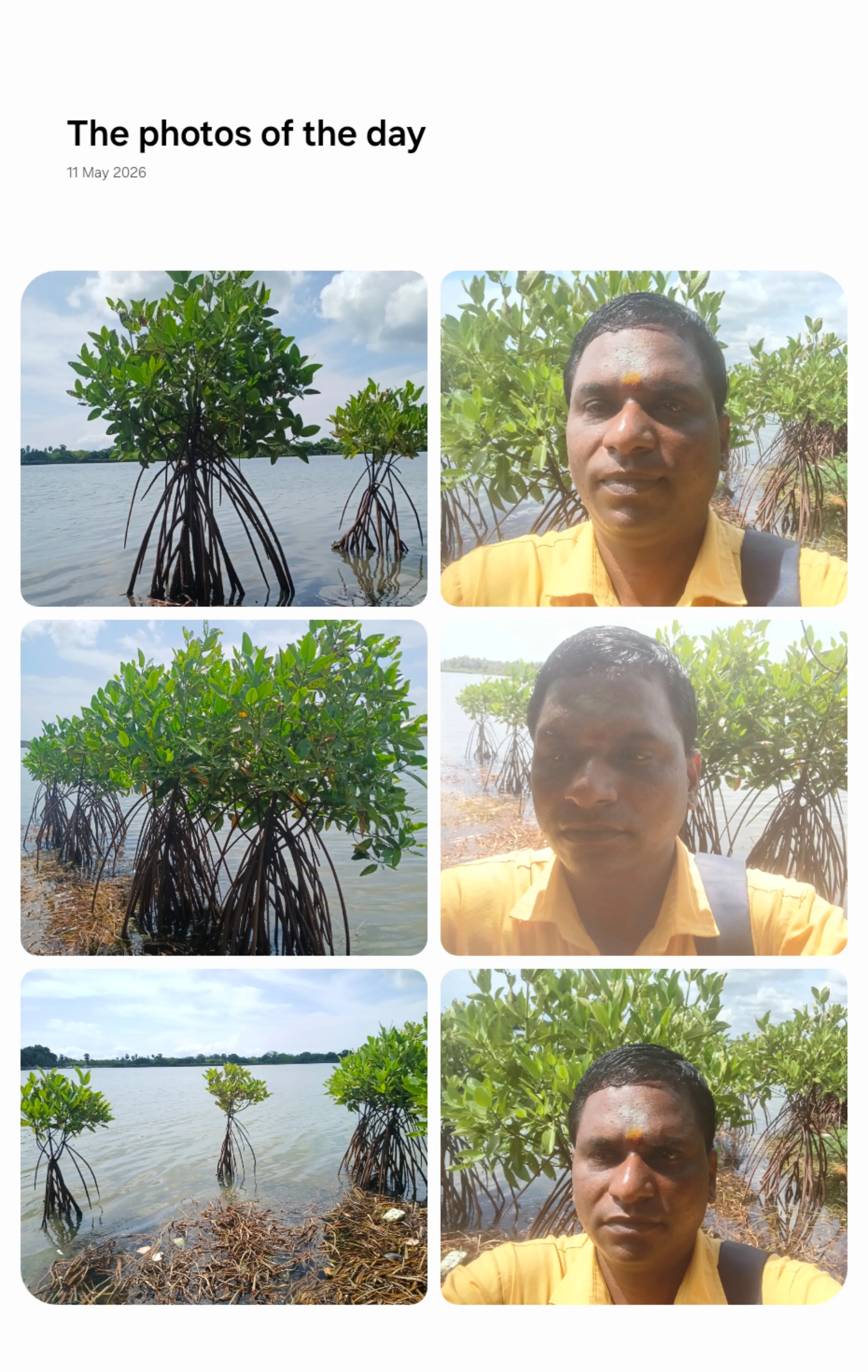 International Mangrove conservation and Ecosystem day celebration in Cuddalore uppanar rivar shoreline july 26th 2026