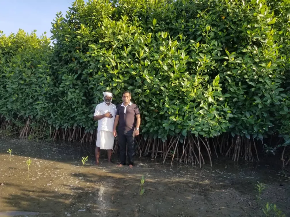 Mangrove Restoration and Coastal Protection in Cuddalore: Safeguarding the Uppanar Ecosystem and Fishing Communities