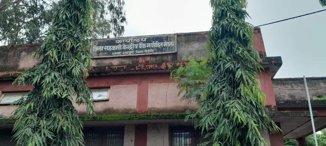 प्रिंटर खराब, किसान परेशान! छह माह से पासबुक एंट्री बंद, अपने ही खाते के हिसाब से बेखबर अन्नदाता” 

किसान संघ ने पहले भी