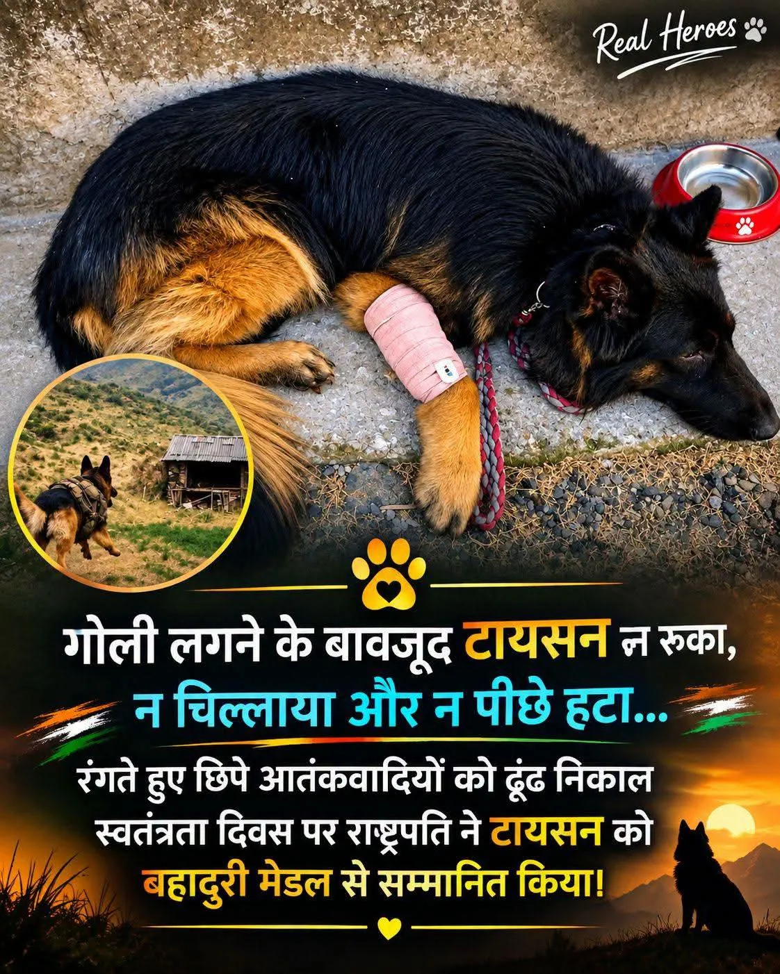 गोलियां लगने के बाद भी आतंकियों का पीछा करता रहा ‘टायसन’, राष्ट्रपति ने बहादुरी मेडल से किया सम्मानित।