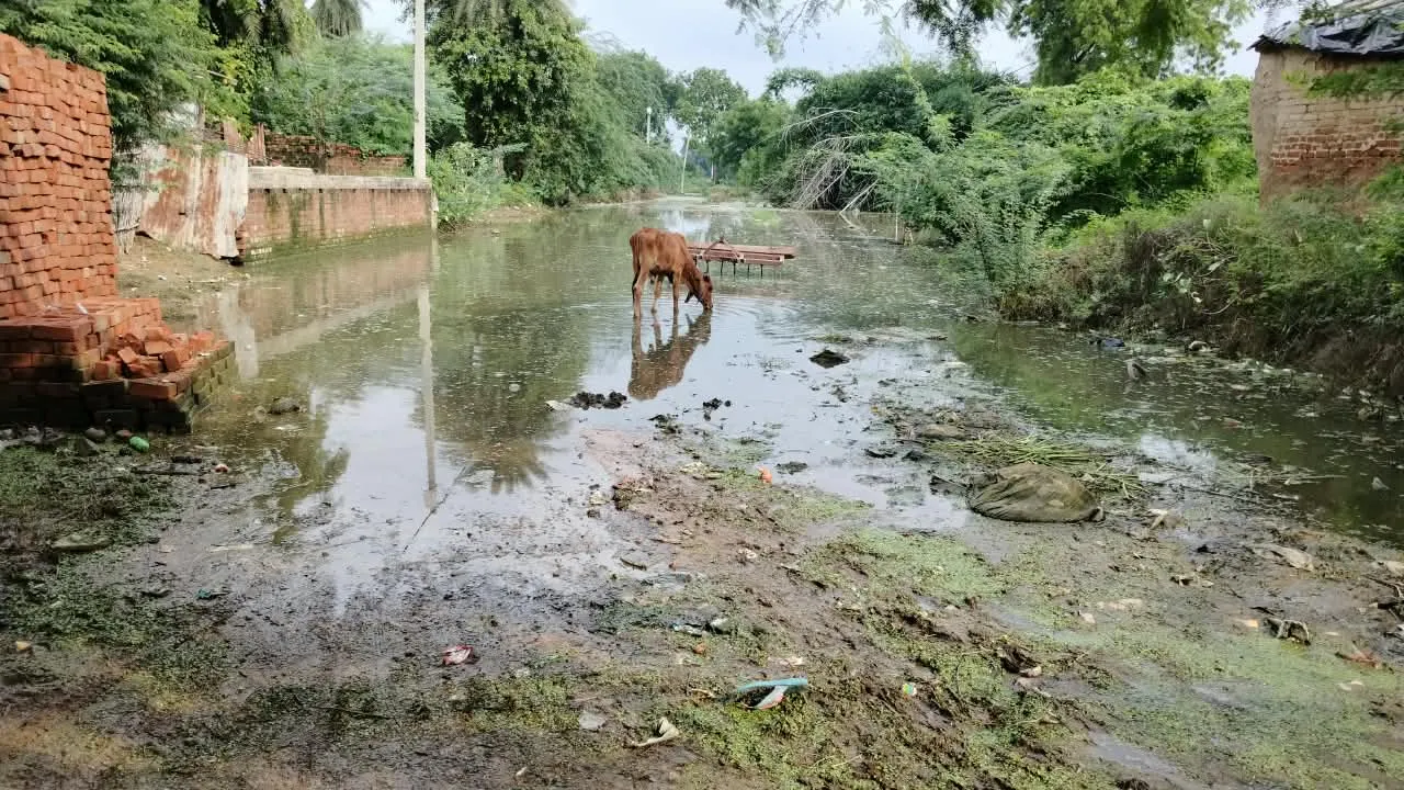 कूड़े के ढेर में तब्दील रामलीला मंच, जलभराव से दलदल बना मुख्य रास्ता, तालाब में अतिक्रमण