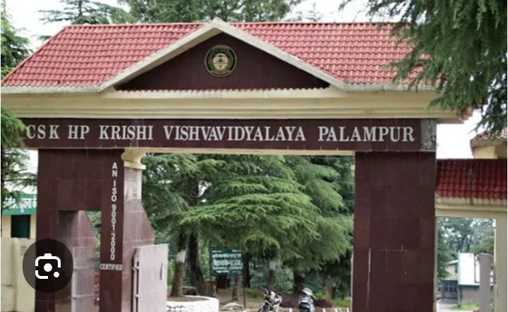 हिमाचल प्रदेश के कांगडा जिले पालमपुर में यूपीएससी स्कालरशिप प्रवेश परीक्षा के आयोजन पर 92 छात्रों ने भाग लिया