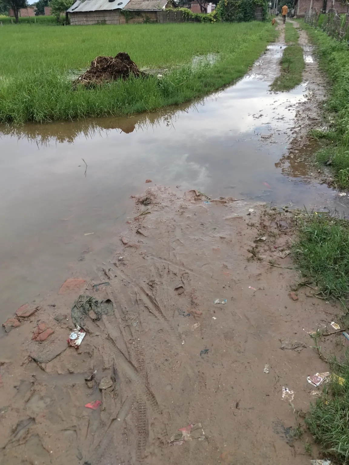 बरसोला कलां, निघासन-138: जर्जर सड़क और जलभराव से जनता त्रस्त, शिकायतों के बावजूद कार्रवाई नहीं!