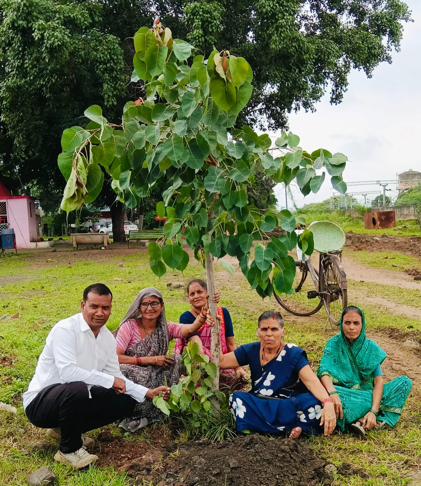 गमलों में पले पौधों को मिला नया ठिकाना, सार्वजनिक स्थलों पर रोपकर बढ़ाई हरियाली