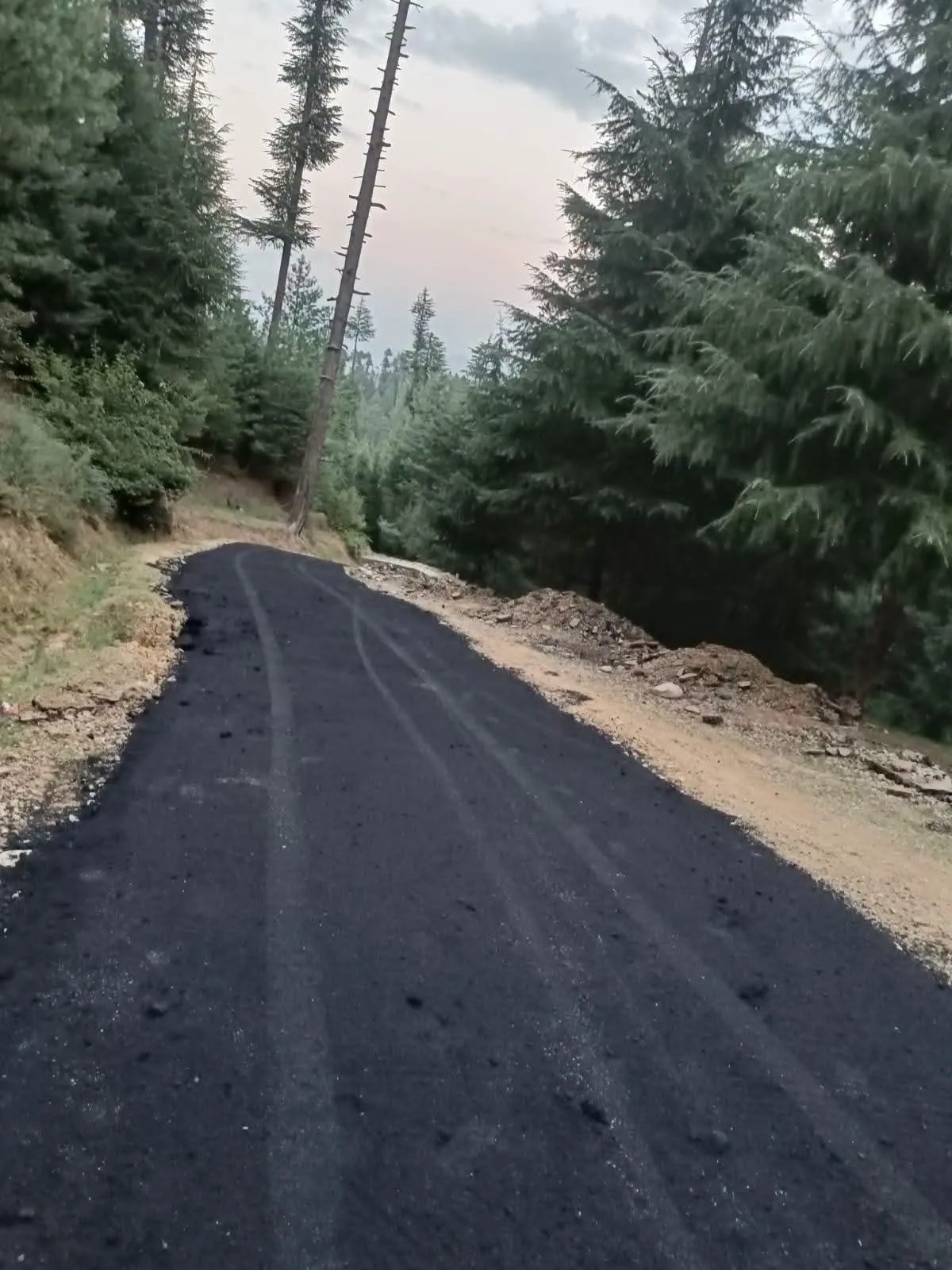 A fortnight ago, I raised the issue of the dilapidated stretch of the Waisa–Androoth–Lachampora road and subsequently to