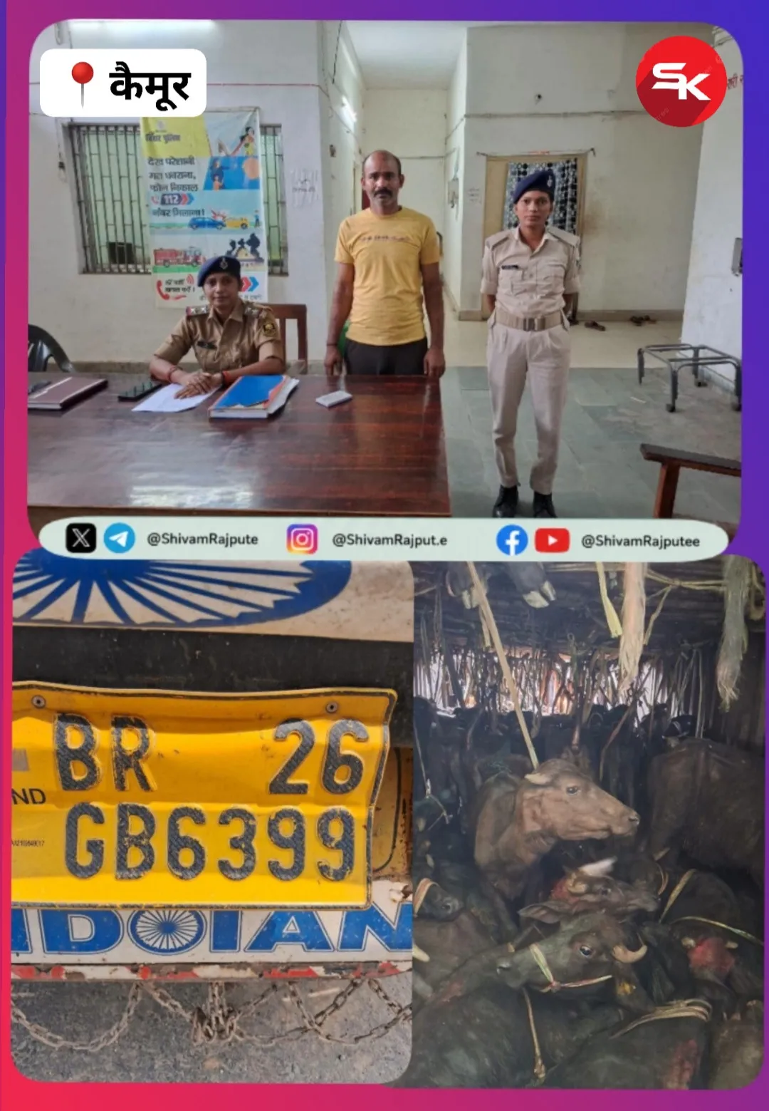 कैमूर पुलिस ने पशु तस्करी के खिलाफ बड़ी कार्रवाई करते हुए 147 मवेशी लदे कंटेनर को जब्त कर एक तस्कर को गिरफ्तार किया