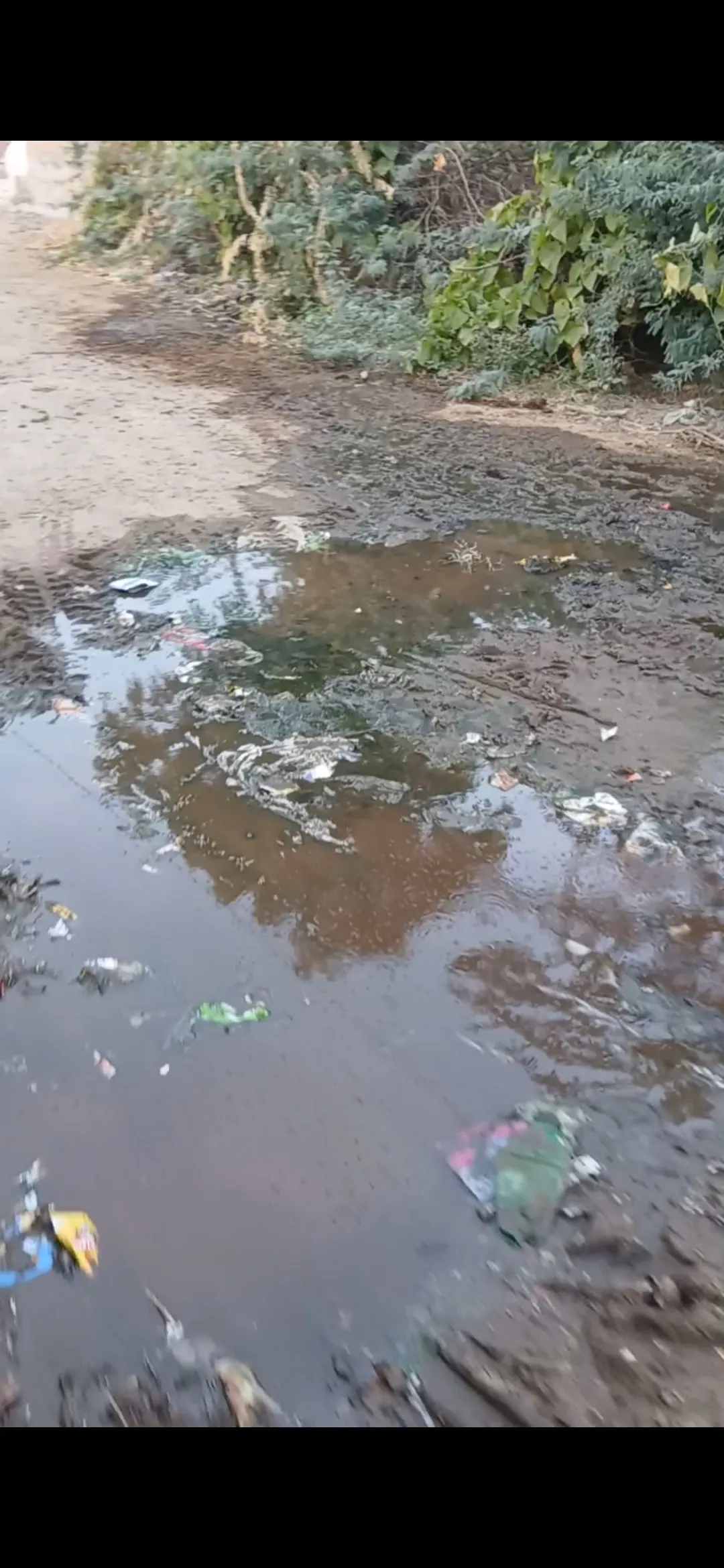 साली गांव वालों का बयान है कि हमारे गांव में ना तो स्वस्थ नालियां है और नई हमारे गांव में सड़के हैं और पीने लायक पानी भी