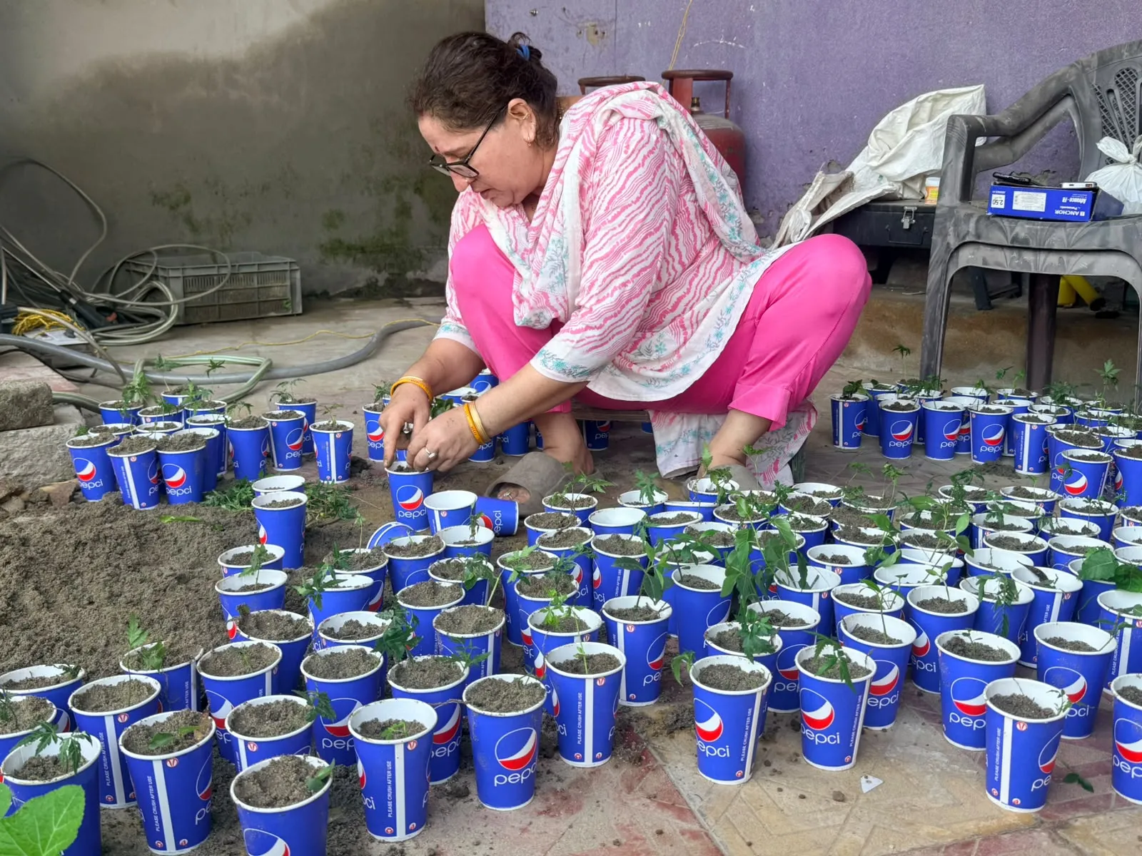 From Wall Crevices to Sacred Spaces: Dr. Sonia Verma’s Green Mission Gives New Life to Heritage and Fruit Trees