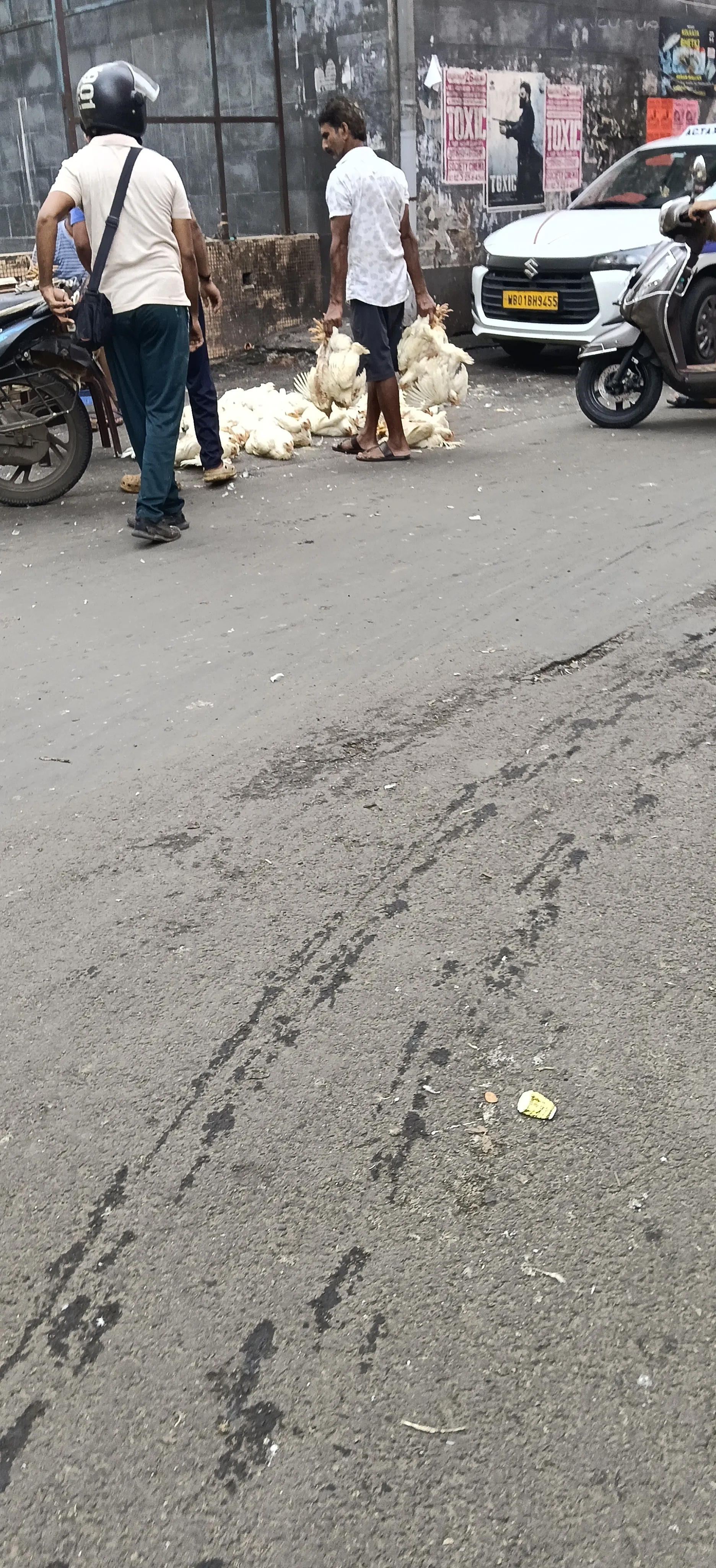 কলকাতা নিউ মার্কেট পোল্ট্রি ফার্ম এরিয়া