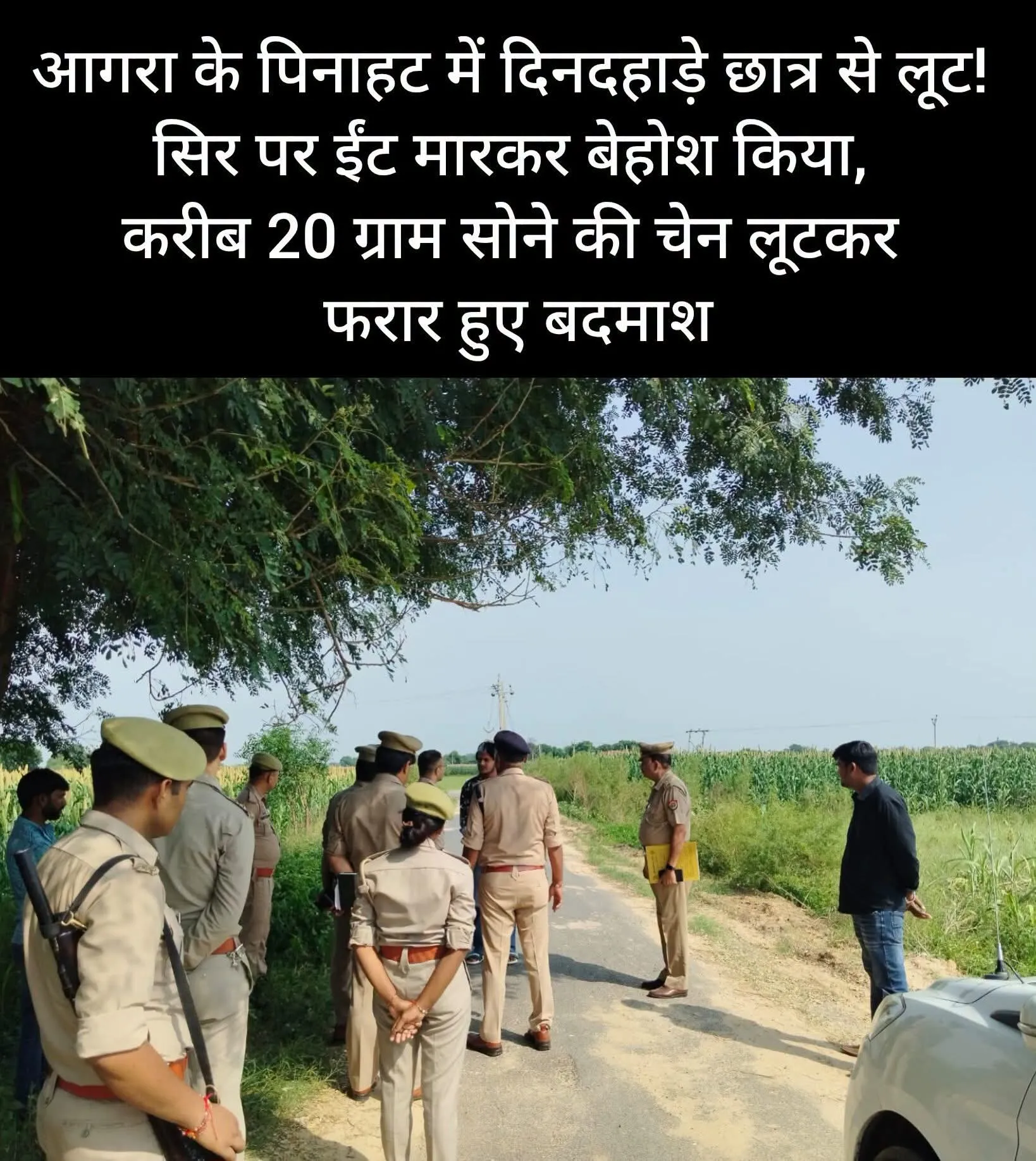 ब्रेकिंग न्यूज आगरा मार्कशीट लेने जा रहे छात्र से दिनदहाड़े लूट, सिर पर ईंट मारकर चेन लूटी