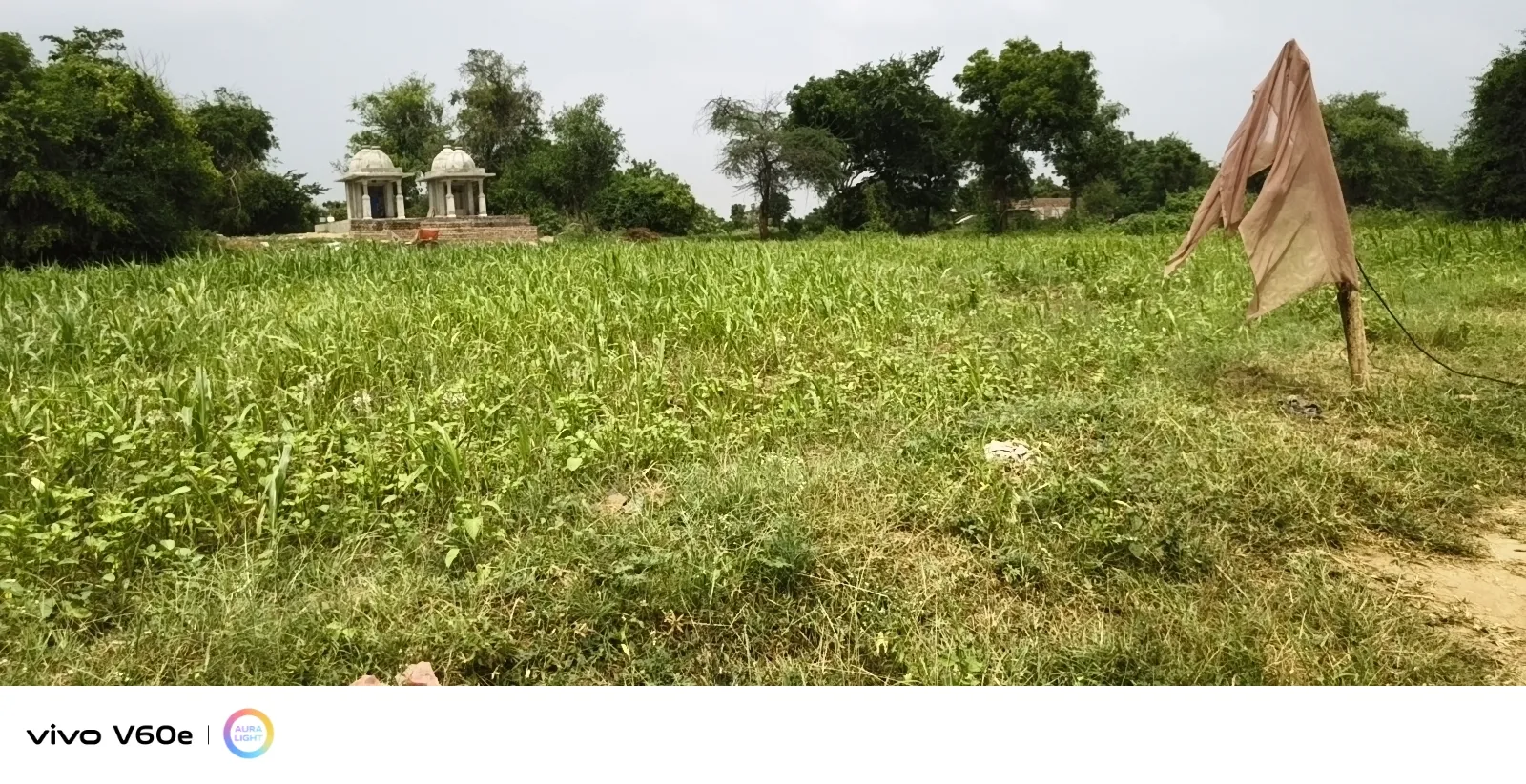 વરસાદની વાપસી થી ખેડૂતોમાં ખુશીની લહેર