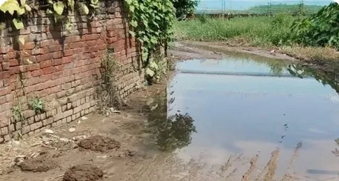 घघसरा क्षेत्र के मटियरा 
गाव मे सडक दयनीय 
पाली सुनील मिश्रा