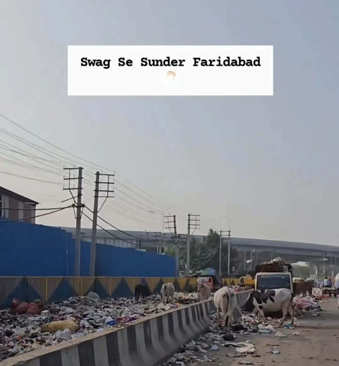 Swachh Bharat Abhiyan Fails in Faridabad: Sector 37 Roundabout and Atmadpur Service Lane Turned into Open Garbage Dumps,