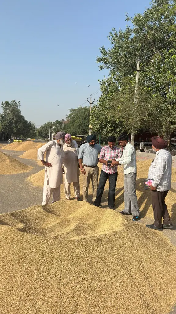 ਬਠਿੰਡਾ ਜ਼ਿਲ੍ਹੇ ਦੀਆਂ ਮੰਡੀਆਂ ਵਿੱਚ 11,576 ਮੀਟ੍ਰਿਕ ਟਨ ਝੋਨੇ ਦੀ ਆਮਦ, 7,444 ਮੀਟ੍ਰਿਕ ਟਨ ਦੀ ਖਰੀਦ