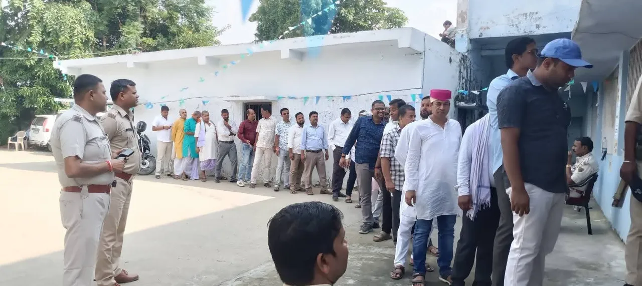 MLC voting