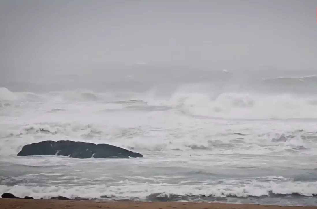 Cyclone Arnab: Huge Waves, Power Outages And Fallen Trees In Visakhapatnam