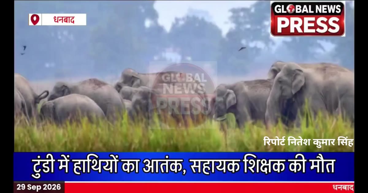 जंगली हाथियों ने ली सहायक शिक्षक की जान