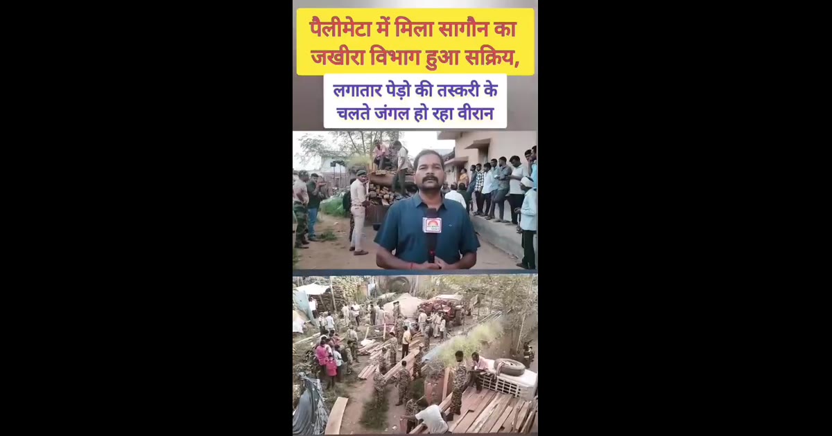छत्तीसगढ़–खैरागढ़ जिला के ग्राम पंचायत पैलीमेटामें सरपंच के घर मिला कीमती इमारती लकड़ी का जखीरा।
