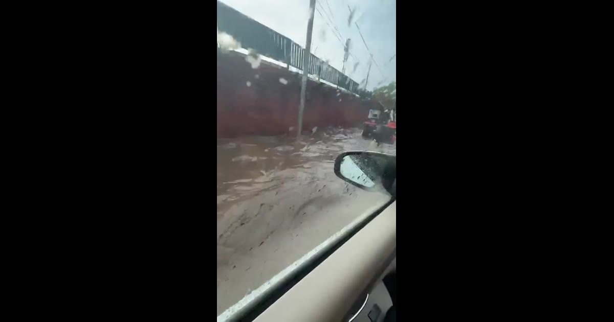 Breaking

🌧️ Chandigarh Mein Baarish Ka Kaher!
Heavy rain ke baad sadkon par bhara paani, kai ilaakon mein w