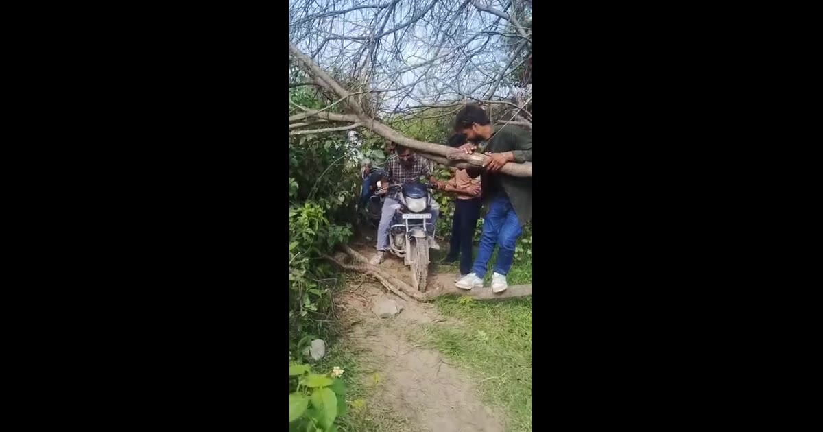 माँजी की बावड़ी इलाके में पेड़ गिरने से सड़क बाधित, वाहन चालकों को दिक्क