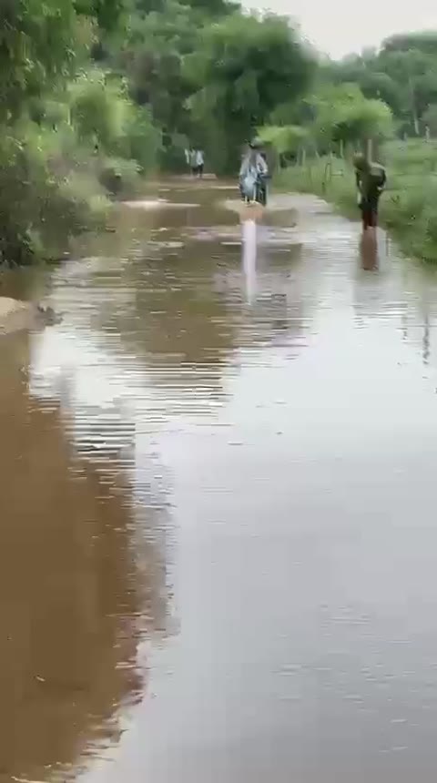 रिपोर्टर जीतेन्द्र दहिया रानीवाड़ा 

साईं जी की बेरी दरगाह मार्ग पर जलभराव से ग्रामीण परेशान, स्कूली बच्चे गंदे पानी से गुजरने को मजबूर

रानीवाड़ा: साईं जी की बेरी दरगाह के पास से डाडॉकी जाने वाले कच्चे मार्ग पर गोलाई के पास पानी का भराव होने से ग्रामीणों और राहगीरों को भारी परेशानी का सामना करना पड़ रहा है। इस मार्ग से प्रतिदिन बड़ी संख्या में स्कूली बच्चे आवागमन करते हैं, जिन्हें मजबूरी में  पानी के बीच से होकर स्कूल जाना पड़ रहा है।

ग्रामीणों का कहना है कि लंबे समय से सड़क पर पानी भरा हुआ है, जिससे पैदल चलना भी मुश्किल हो गया है। दुपहिया वाहन चालक भी फिसलन और कीचड़ के कारण दुर्घटना की आशंका के बीच सफर करने को मजबूर हैं। बरसात के दौरान स्थिति और अधिक गंभीर हो जाती है।

ग्रामीणों ने प्रशासन और जनप्रतिनिधियों से मांग की है कि जिस स्थान पर पानी का भराव हो रहा है, वहां शीघ्र कंक्रीट (सीसी) सड़क का निर्माण कराया जाए ताकि जलभराव की समस्या समाप्त हो और स्कूली बच्चों सहित आम लोगों को सुरक्षित एवं सुगम आवागमन की सुविधा मिल सके।